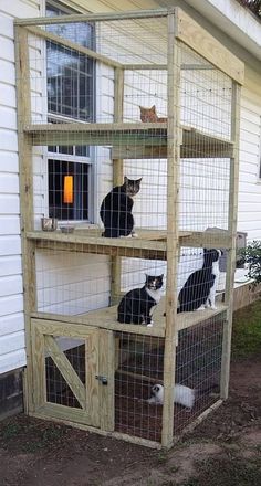 three cats sitting on top of a cage in front of a house