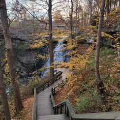 stairs lead down to a waterfall in the woods with fall leaves on the ground and trees around