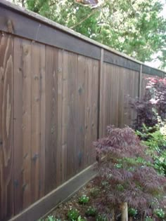 a wooden fence surrounded by trees and plants in the yard with purple flowers growing on it