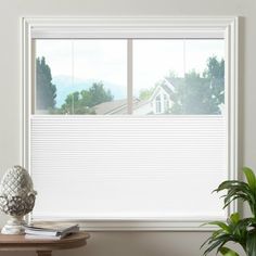 a window with white blinds and a potted plant on the table in front of it