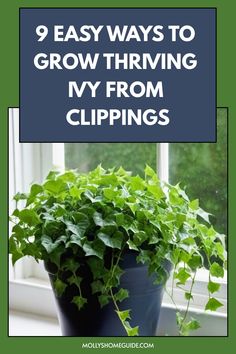 a potted plant with the words 9 easy ways to grow thriving ivy from clippings