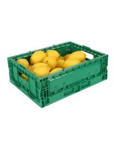 a green crate filled with lots of yellow fruit