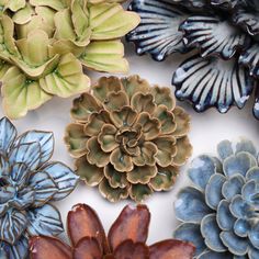 several different types of flowers are arranged together on a white surface with blue and green leaves