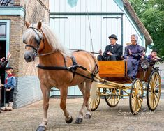 a horse pulling a carriage with people in it on the side walk near a building