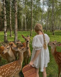 a woman in white dress holding a basket next to several deer standing near each other