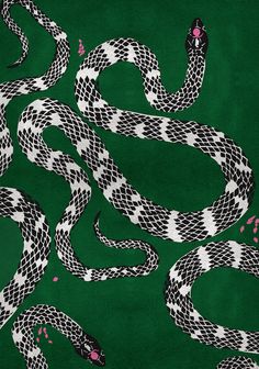 the snake is black and white with pink spots on it's head, while the other snakes are green