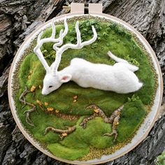 a white deer laying on top of green grass