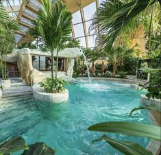 an indoor swimming pool surrounded by palm trees