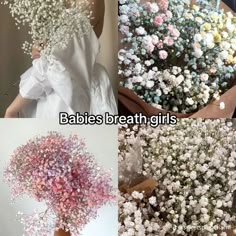 baby's breath girls flowers are arranged in different colors and sizes, with the words babies breath on them