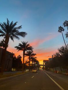 palm trees line the street as the sun sets