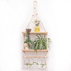 three shelves with plants on them hanging from the wall, and one shelf is holding two potted plants