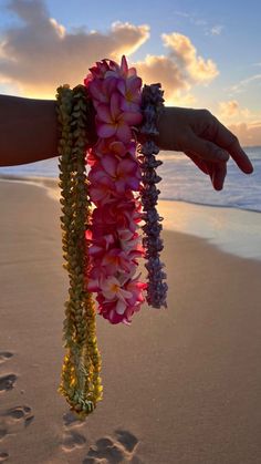 a person is holding some flowers on the beach