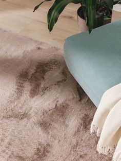 a blue couch sitting on top of a wooden floor next to a potted plant