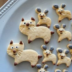 some cookies decorated like cats and mice on a plate