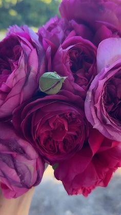 a bouquet of purple flowers in a vase