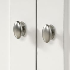 the door is white and has two knobs on each side, one with an oval handle