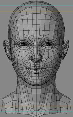 an image of a man's head with lines on the face and neck,