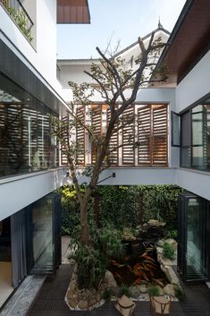 an indoor courtyard with a tree in the middle