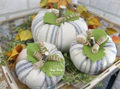 three white pumpkins sitting on top of a wooden table