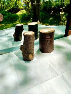 three wooden logs sitting on top of a table