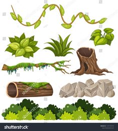 various plants and rocks on a white background