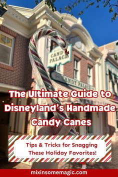 Handmade candy canes at Disneyland are a cherished holiday tradition! Follow our tips for arriving early, joining the mobile waitlist, and picking up your candy cane. These beautiful peppermint treats are wrapped in bubble wrap for safe travels. Make your Disney trip extra special with this sweet souvenir! Disneyland Crowd Calendar, Disneyland Trip Planning, Disneyland Vacation Planning, Peppermint Treats, Disneyland Planning, Handmade Candy, Disneyland Vacation, Themed Drinks, Holiday Trip