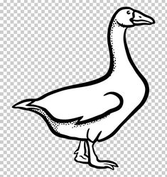 a black and white drawing of a duck on a transparent background, with no background