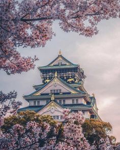 a tall building surrounded by cherry blossom trees