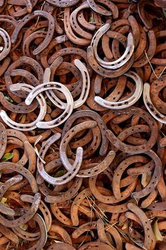 there are many rusted metal rings on the ground