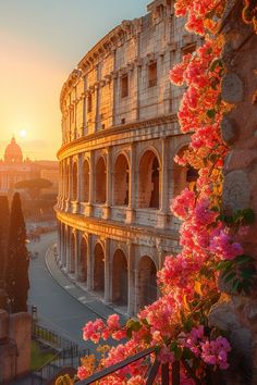 the roman colossion at sunset with pink flowers growing on it's side