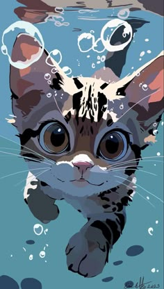 a cat is swimming in the water with bubbles