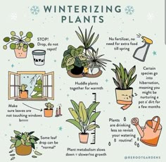 an illustrated poster with some plants and other things to do in the wintertime time