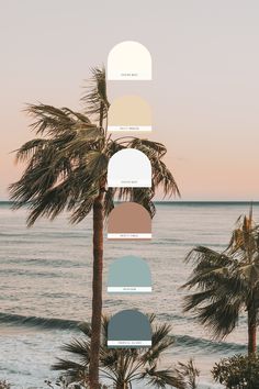 a palm tree next to the ocean with color swatches