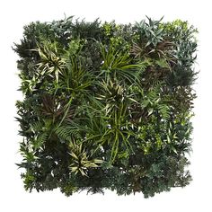 the top view of a green plant wall