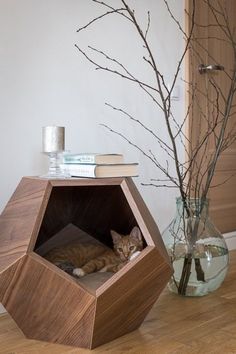 a cat laying in a wooden box on the floor next to a vase with branches