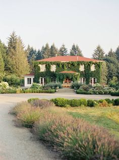 the house is surrounded by greenery and lavender bushes, with trees in the background