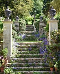 an outdoor garden with stone steps and flowers