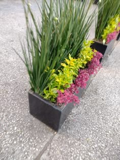 three planters filled with different types of flowers