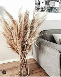 a vase filled with dry grass sitting on top of a wooden floor next to a couch