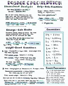 an exercise sheet with instructions on how to use the dosage calculator