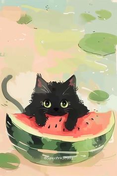 a black cat is sitting in a watermelon boat