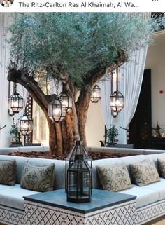 an outdoor seating area with a tree in the center and lanterns hanging from the ceiling