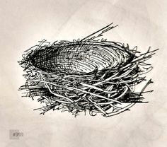 a bird's nest on top of a piece of paper that has been drawn