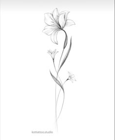 a pencil drawing of a flower on a white paper with the words,'i love you