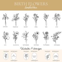 the different types of birth flowers in black and white on a beige background with text