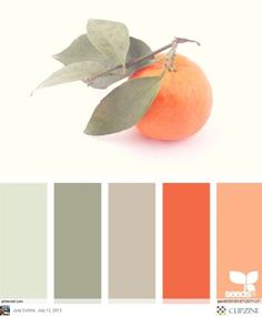 an orange with green leaves on it and color swatches