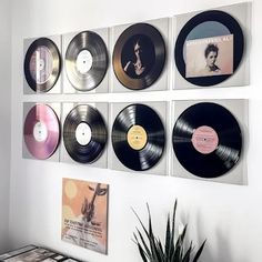 there are many records hanging on the wall in this room, and one has a potted plant next to it