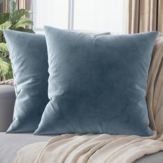 two blue pillows sitting on top of a couch next to a plant in a living room