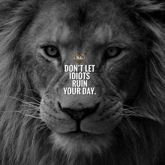 Lioness Quotes, Deep Meaningful Quotes, Lion Quotes, Inspirational Quotes About Success, Top Quotes, Warrior Quotes, Strong Quotes, Badass Quotes, A Lion