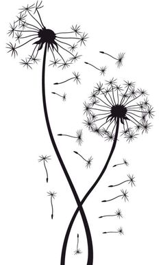 a dandelion drawing with black ink on white paper